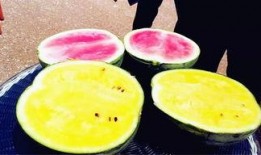 52吃瓜爆料免费吃瓜视频